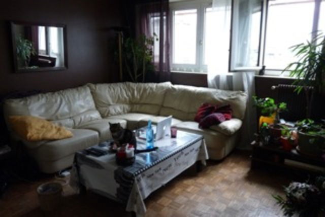 Colocatie Paris 25094