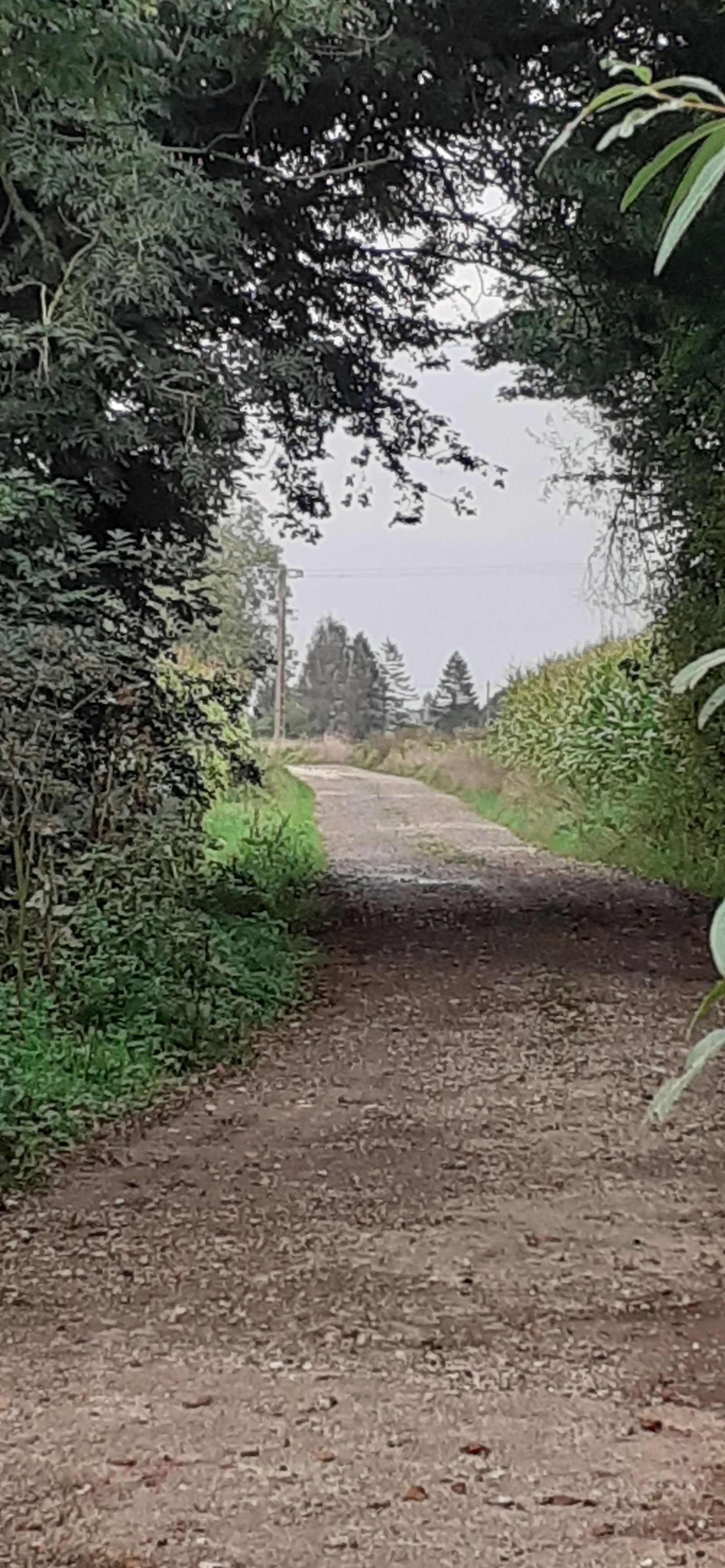 Onafhankelijke Studio Wavrans-sur-l'Aa 432859