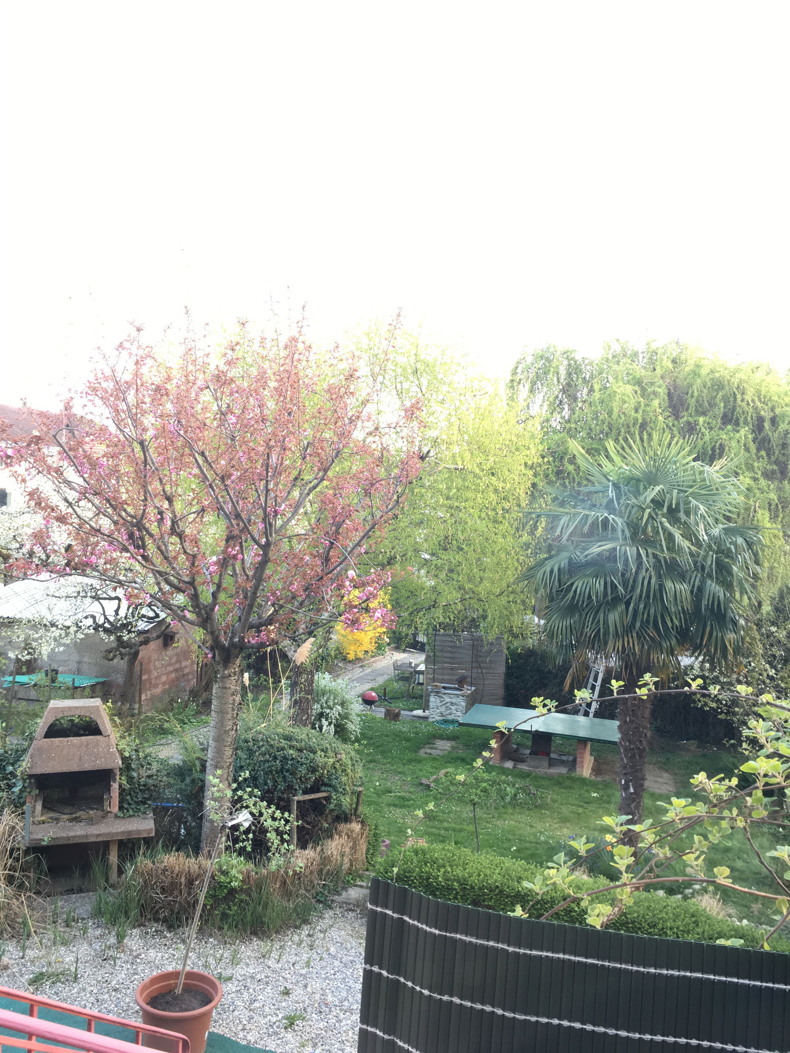 Coliving Chavannes-près-Renens 487573