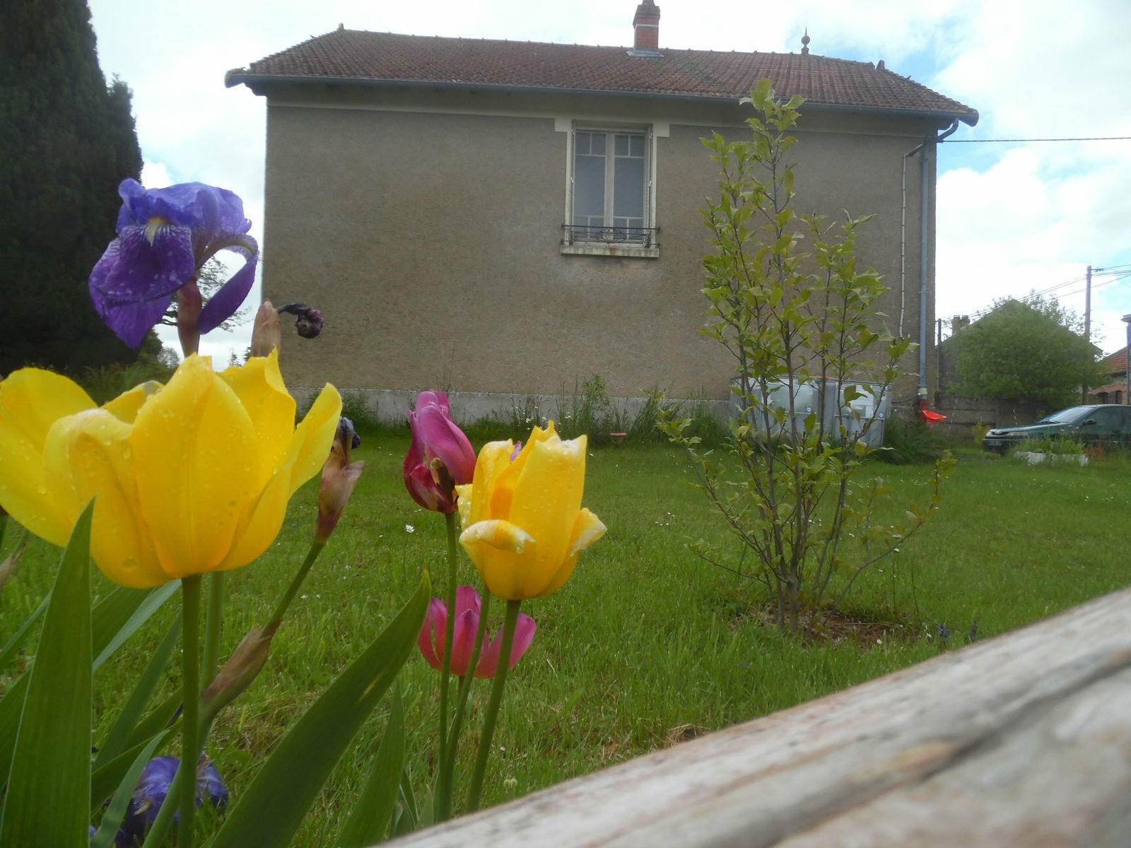 Kotimajoitus La Jonchère-Saint-Maurice 239622