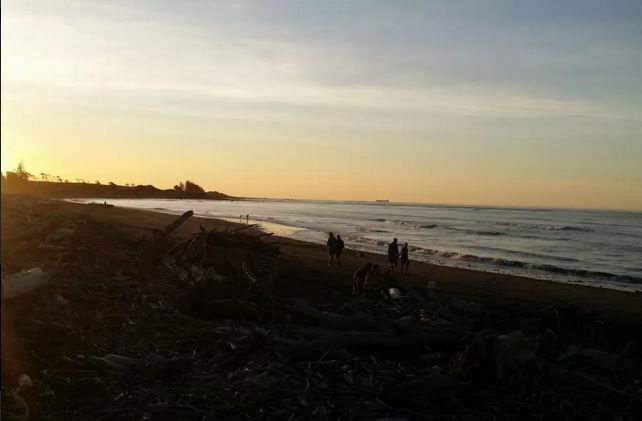 Vierashuoneet Waitara 125138