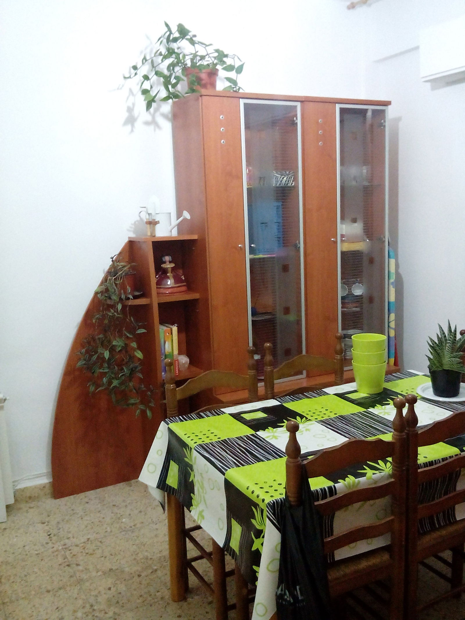 Järjestäminen Valladolid 118530