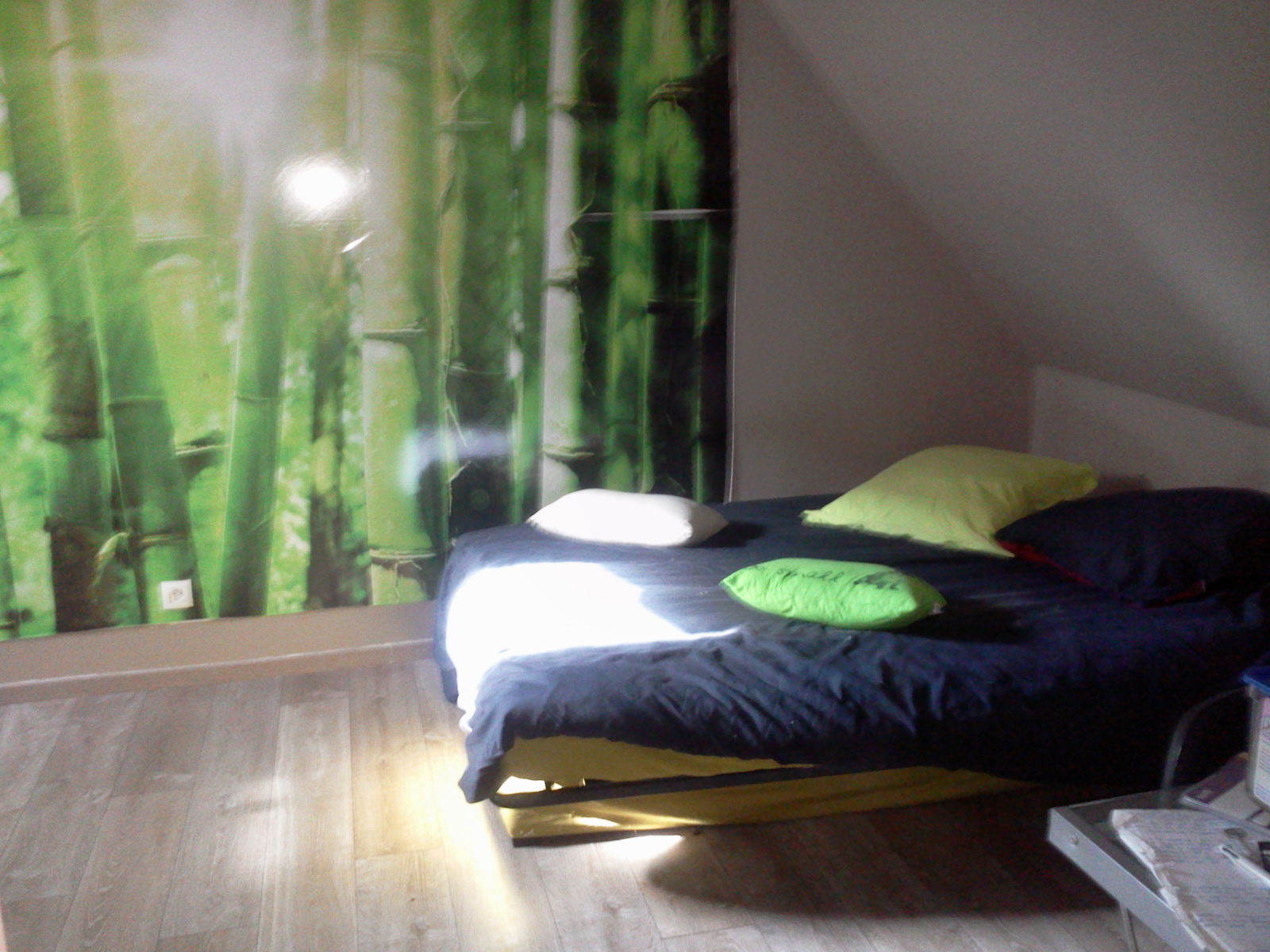 Kotimajoitus Gouvieux 78532