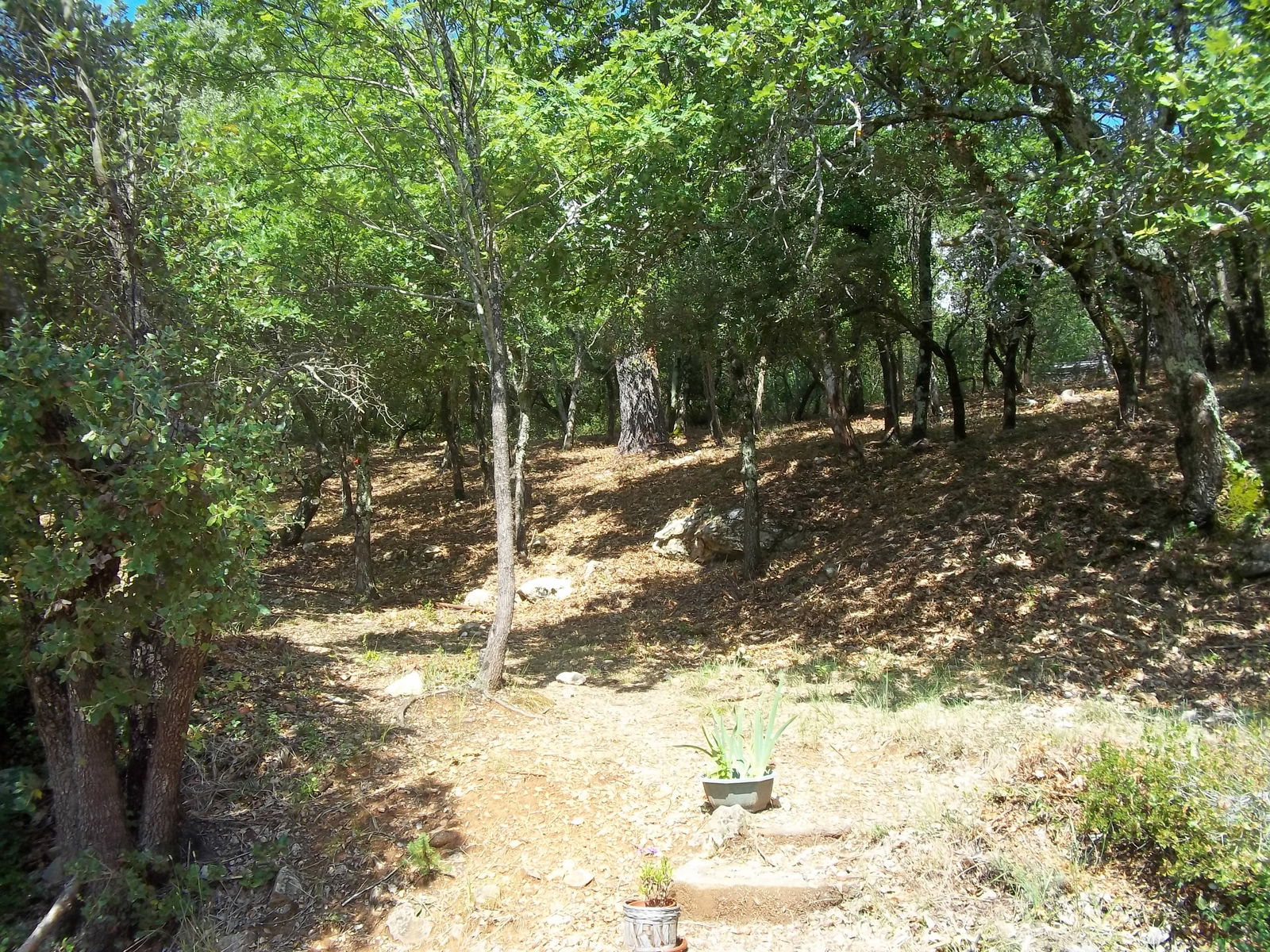 Kotimajoitus Tourves 107234