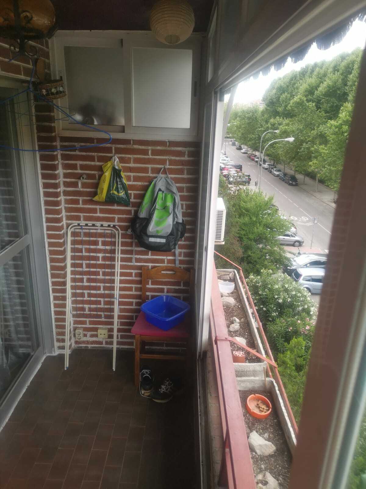 Järjestäminen Madrid 248628