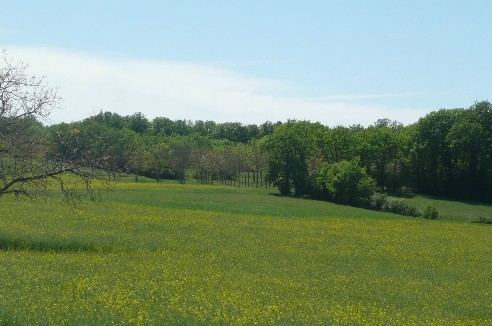 Kotimajoitus Nabirat 46234