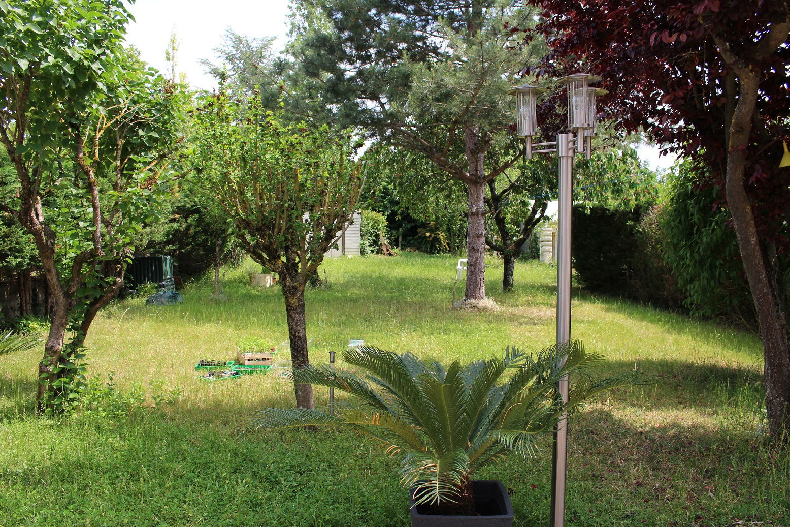 Kotimajoitus Chasseneuil-du-Poitou 226869