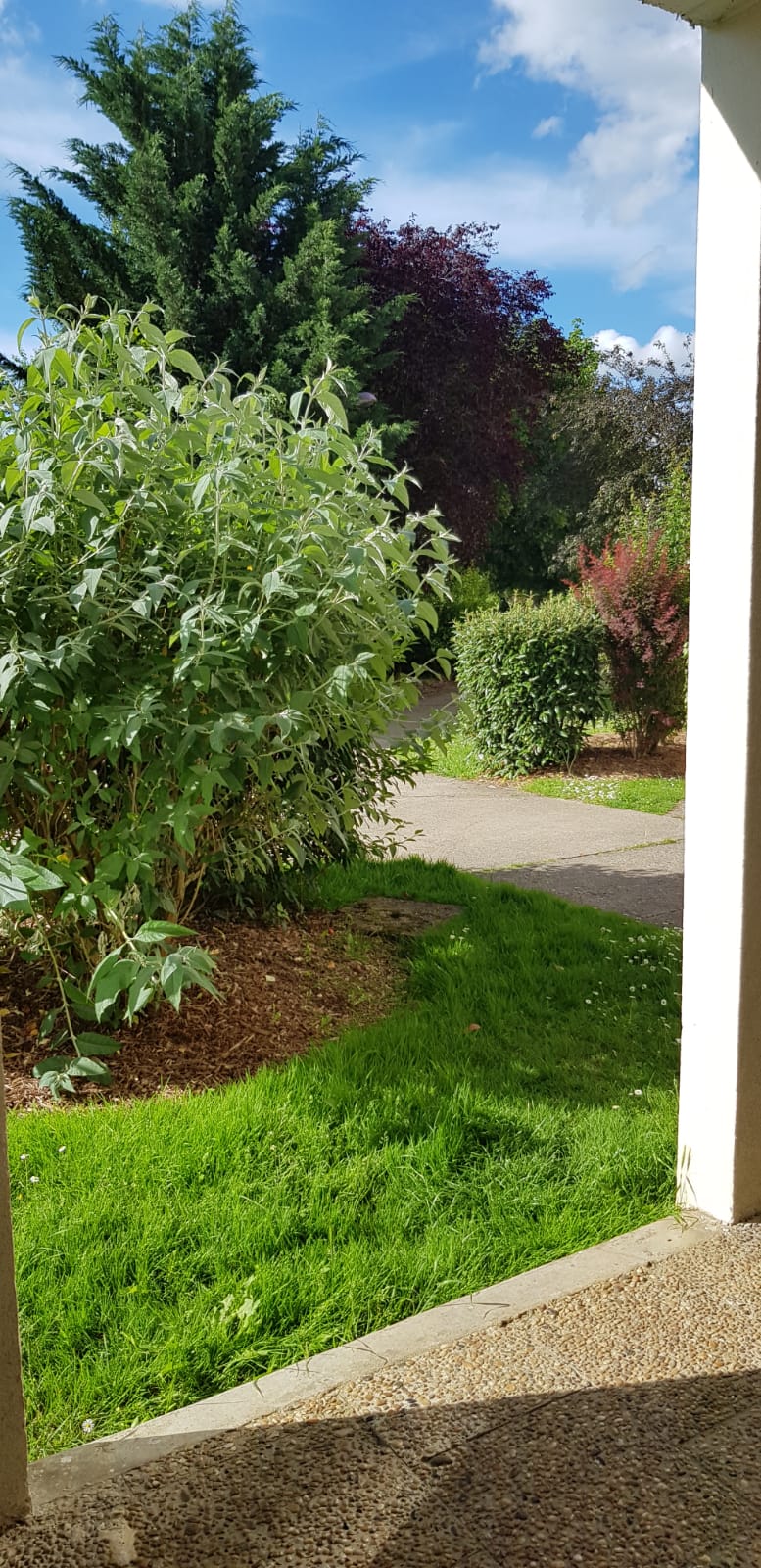 Järjestäminen Pontoise 484537