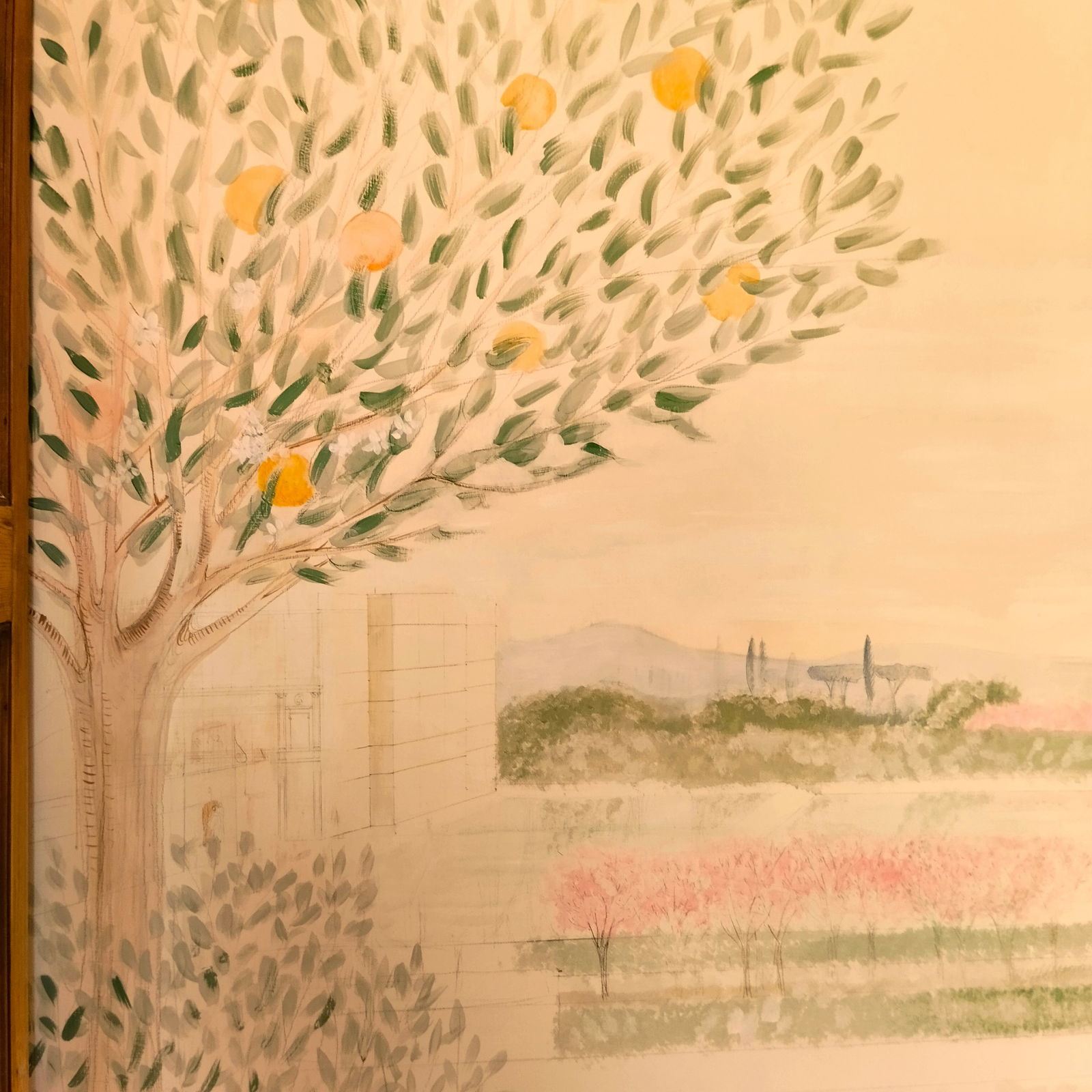 Coliving Roma 498924