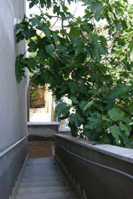 Uafhængigt Studie Focene 115355