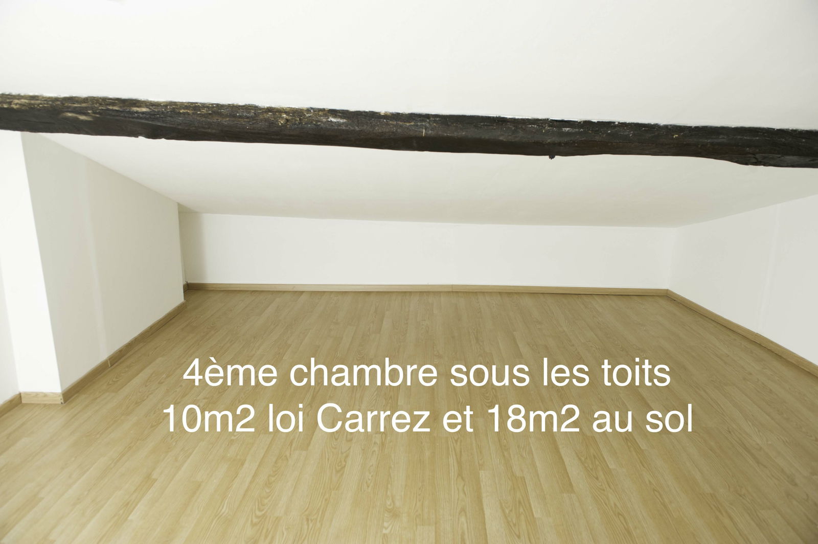 Colocation Poitiers 115482