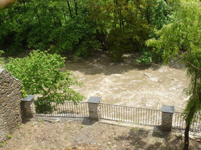 Uafhængigt Studie ANSERALL 35302