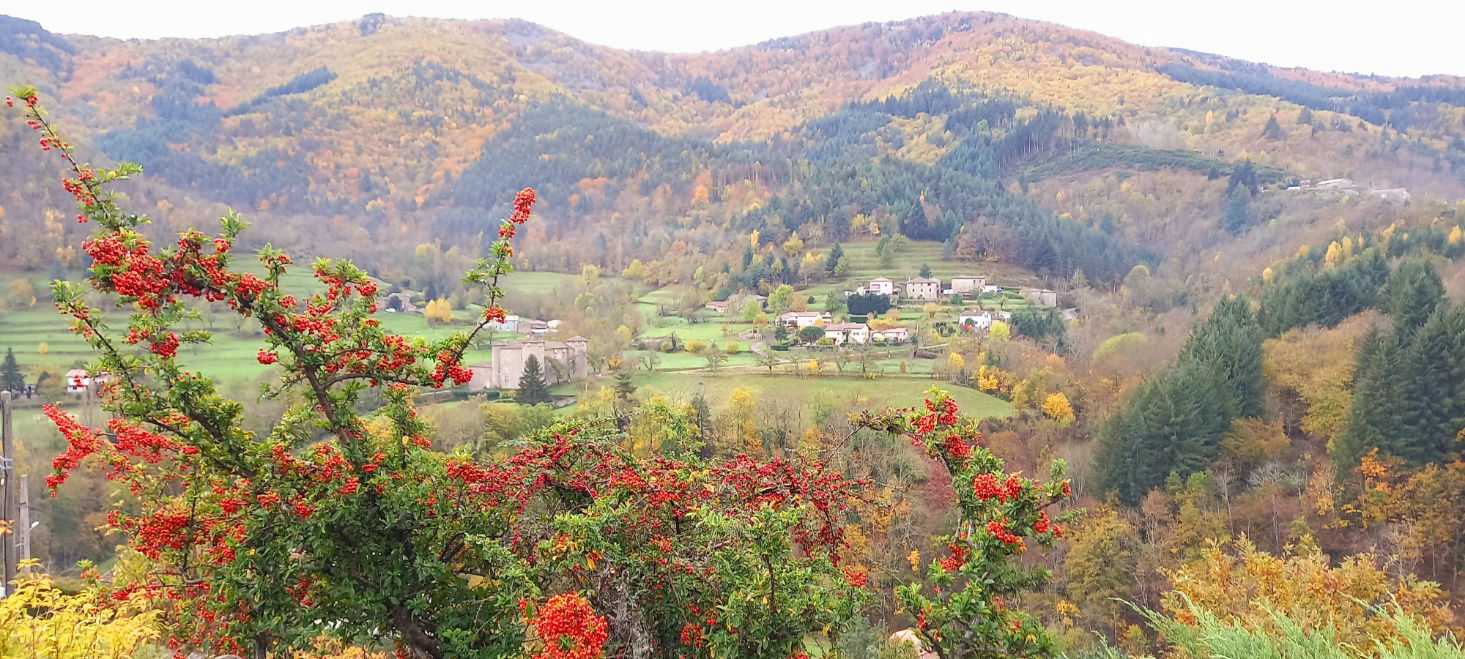 Hjemmeophold Accons 393765