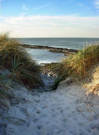 Oberoende Studio Valras-Plage 100199