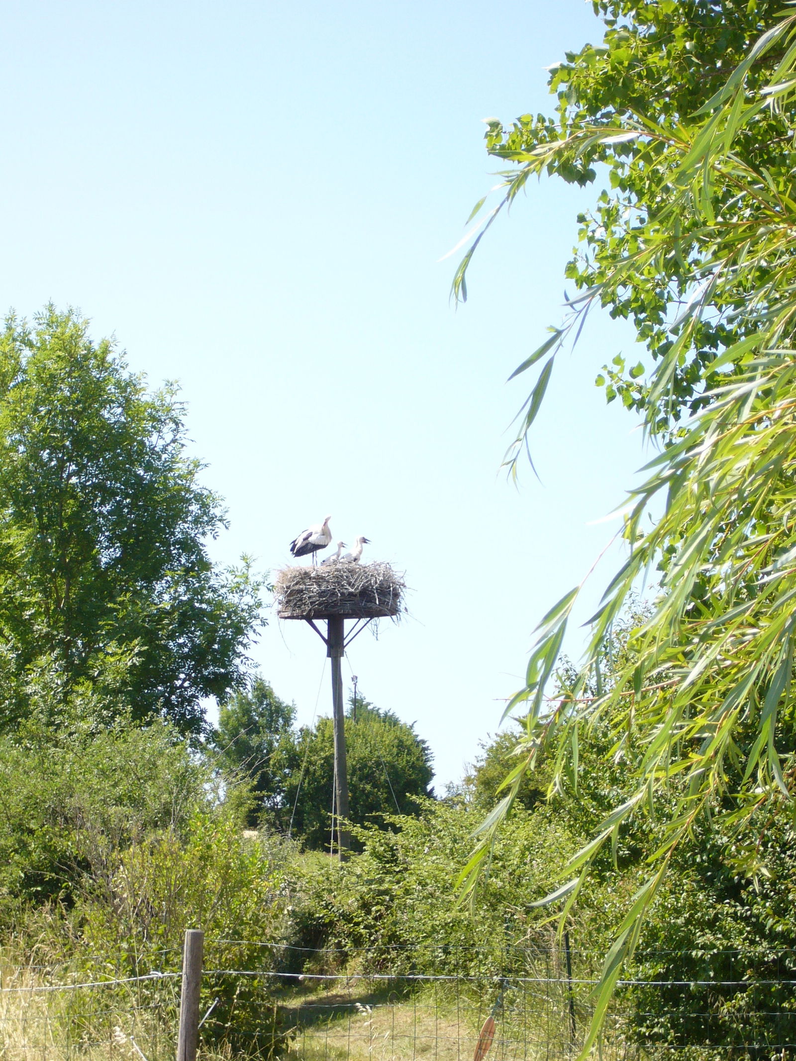 Hela Huset Hiers-Brouage 90571