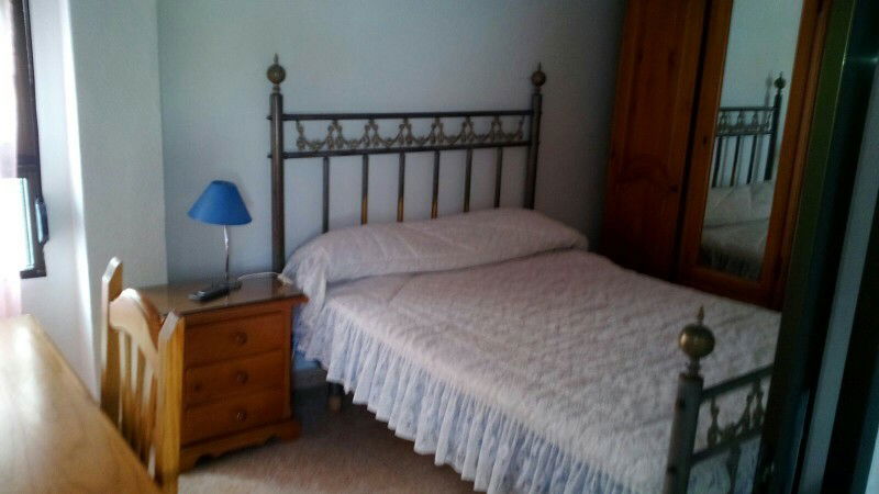 Kolokasie Córdoba 158138