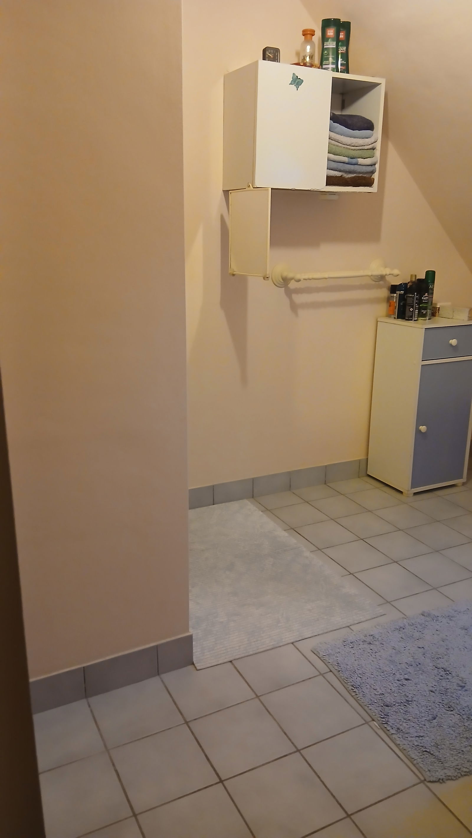 Gastgezin Broons 125889