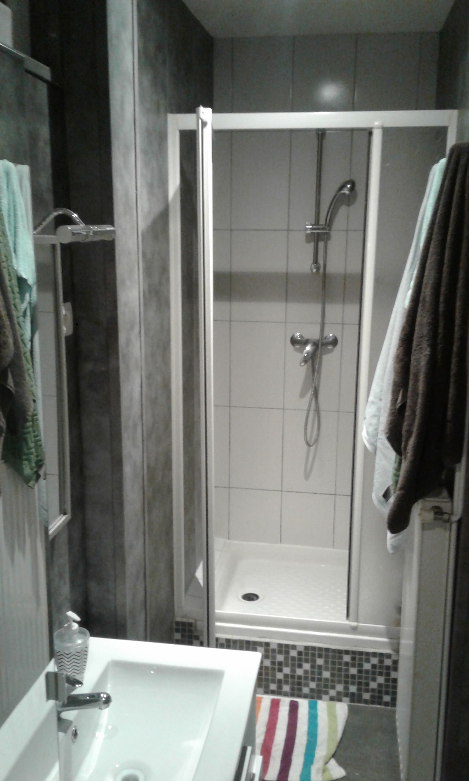 Colocatie Saint-Chamond 409136