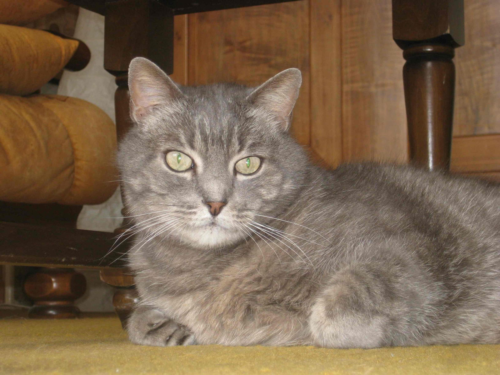 Tuisverblyf Caluire-et-Cuire 72977