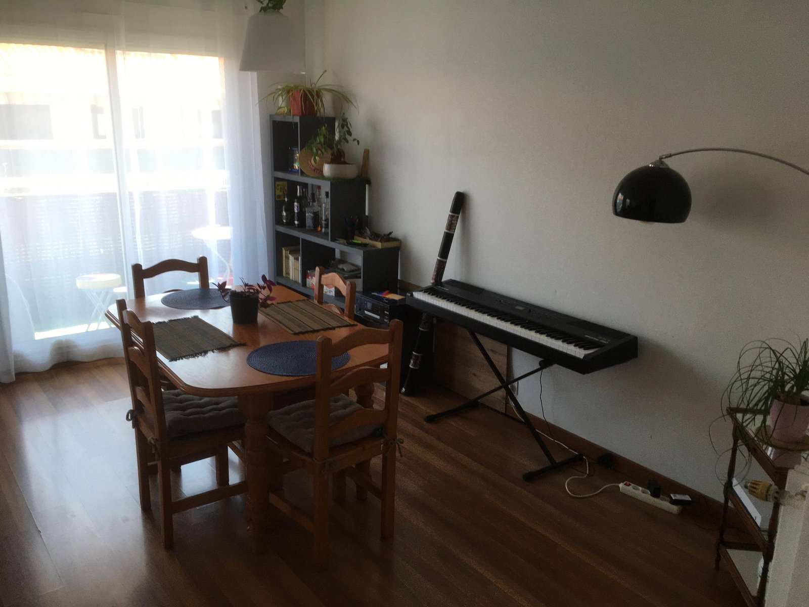 Kolokasie Perpignan 411381