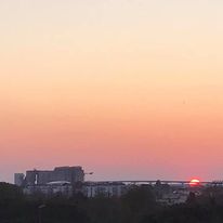 Kolokasie La Rochelle 198828