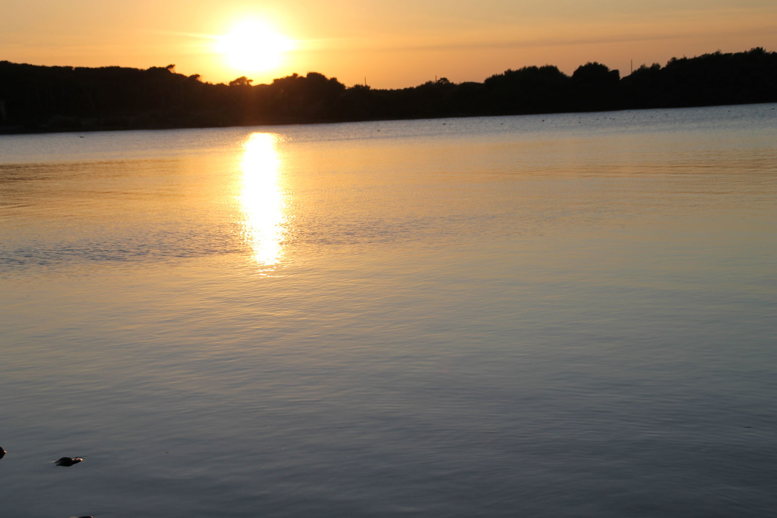 Onafhanklike Ateljee Six-Fours-les-Plages 71631