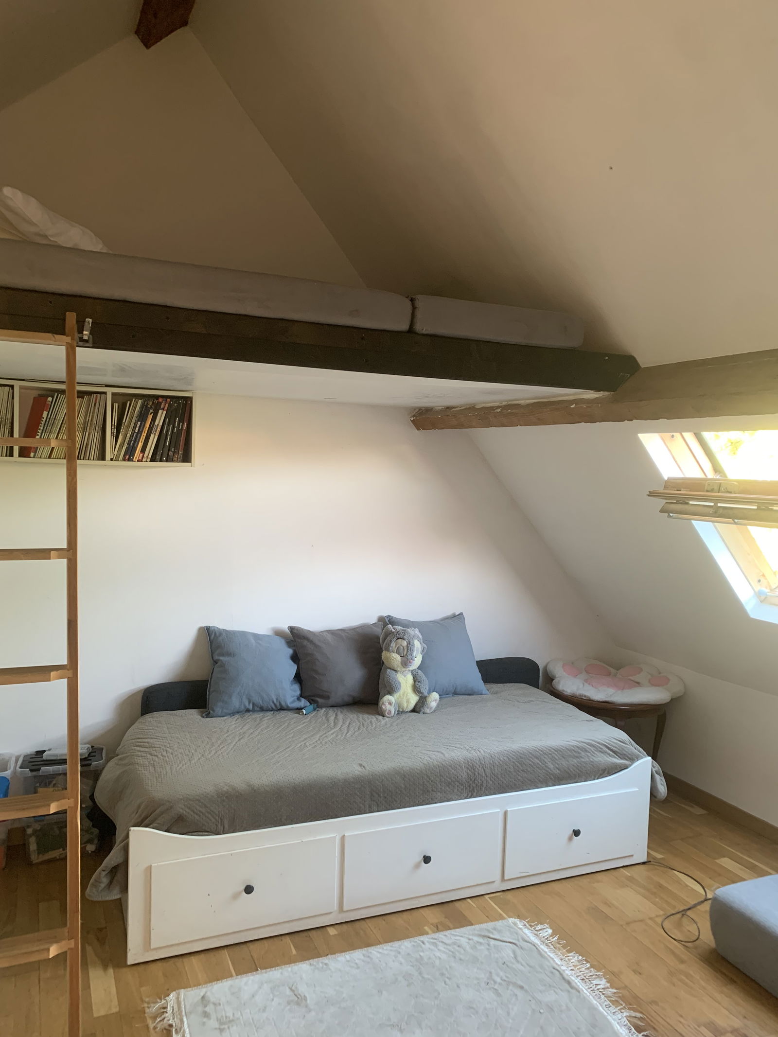 Kolokasie Chennevières-sur-Marne 587068