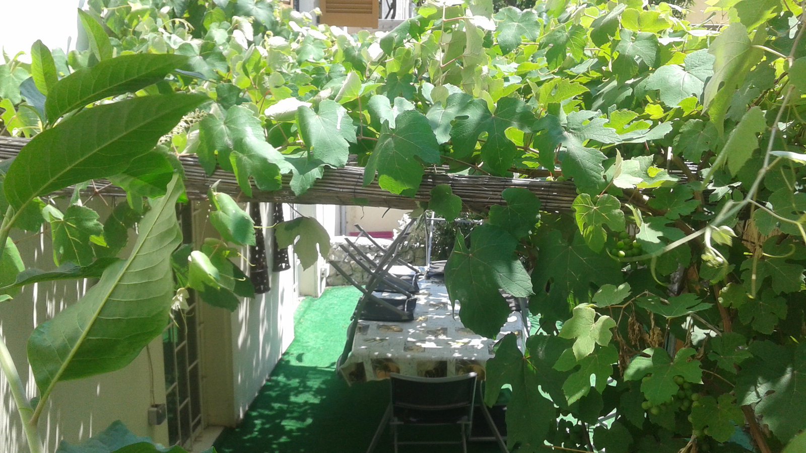 Gehele Woning Nice 665815