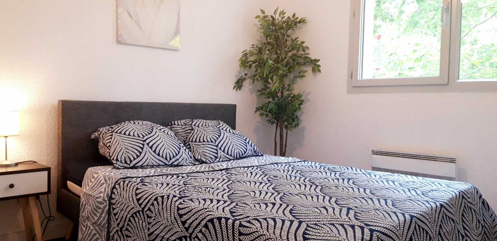 Colocation Toulouse 258559