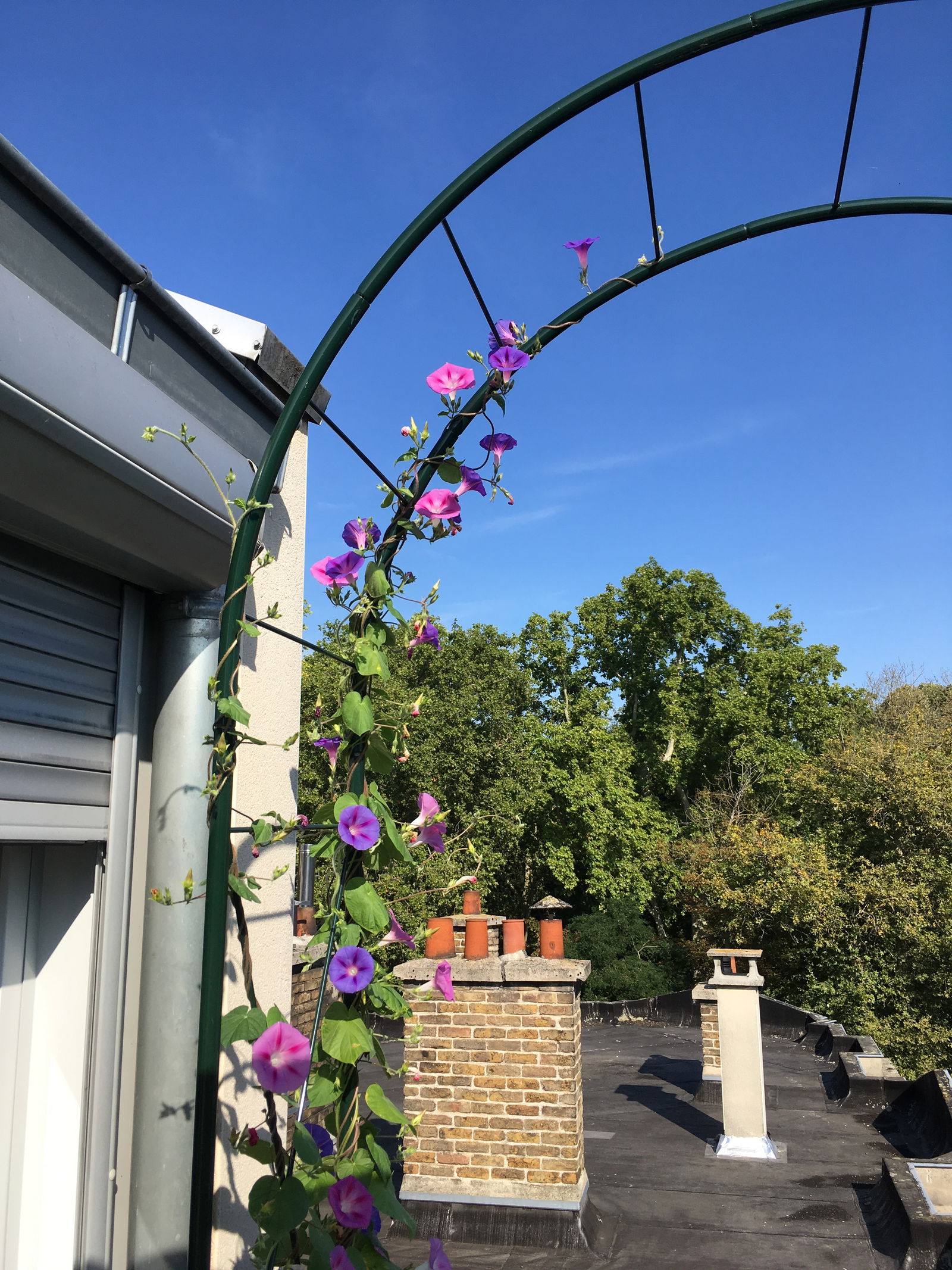 Hjemmeophold Reims 218654