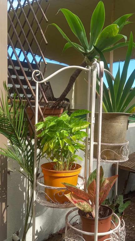 Oberoende Studio Saint-Leu 400914