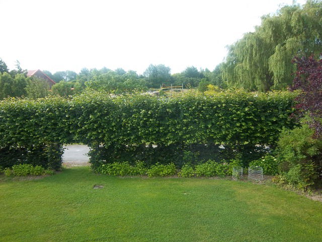 Hemvistelse Coudekerque-Branche 13850