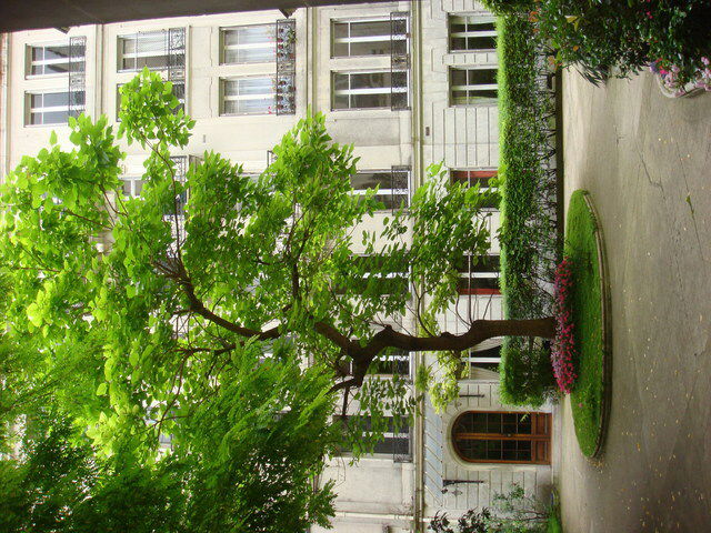 Hemvistelse Paris 9936