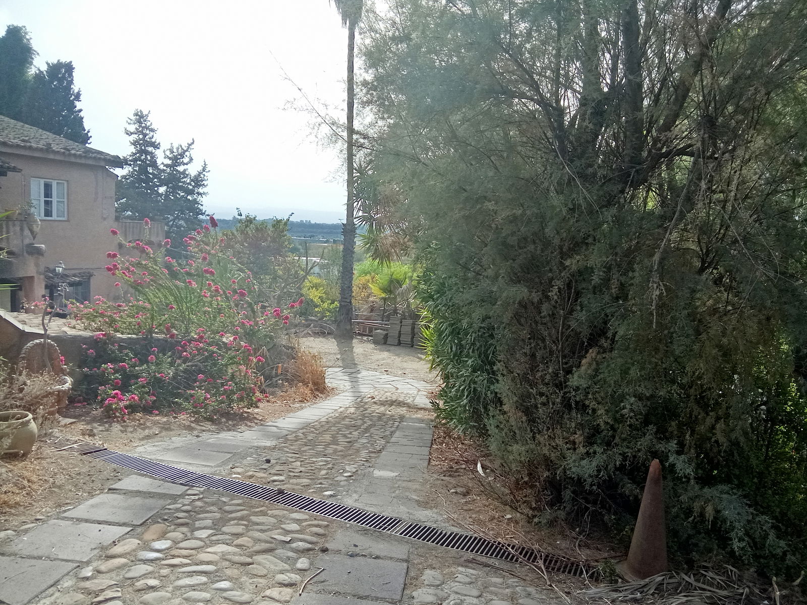 Bed And Breakfast Misterbianco 417203