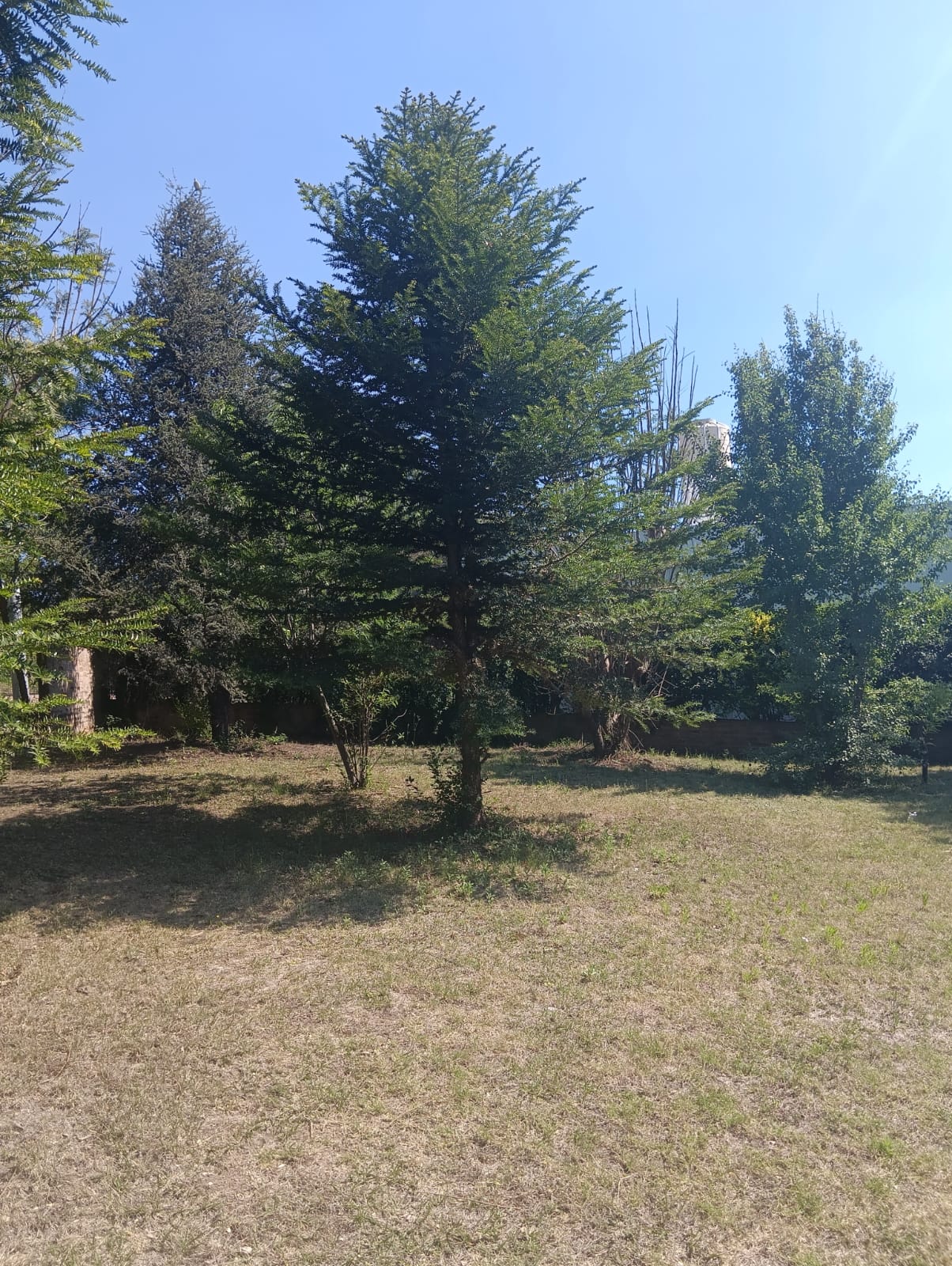 Camere Per Gli Ospiti Bialet Massé 628515