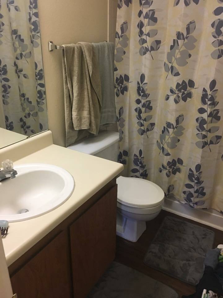 Homestay Fort Collins 164988