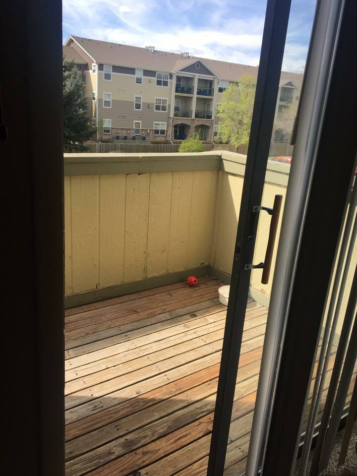 Homestay Fort Collins 164988
