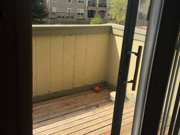 Homestay Fort Collins 164988-5