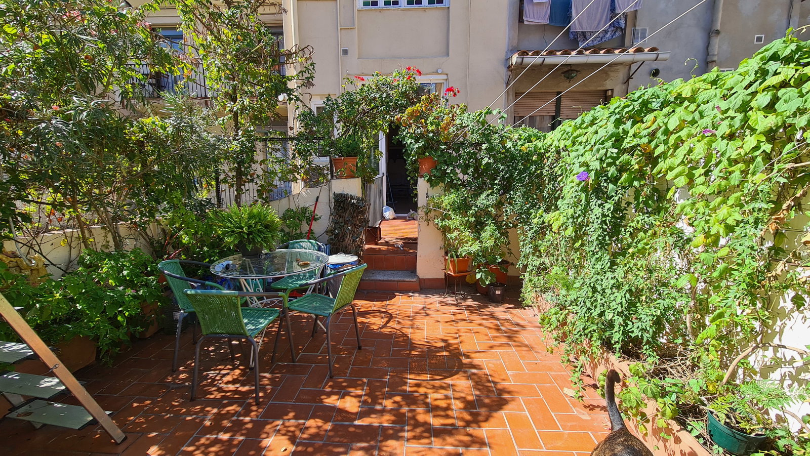 Homestay Barcelona 668825