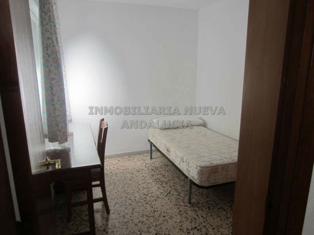 Colocation Almería 109671