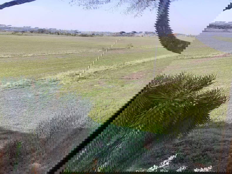 Quedarse En Casa Marino 331633-1