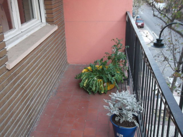 Homestay Zaragoza 38549
