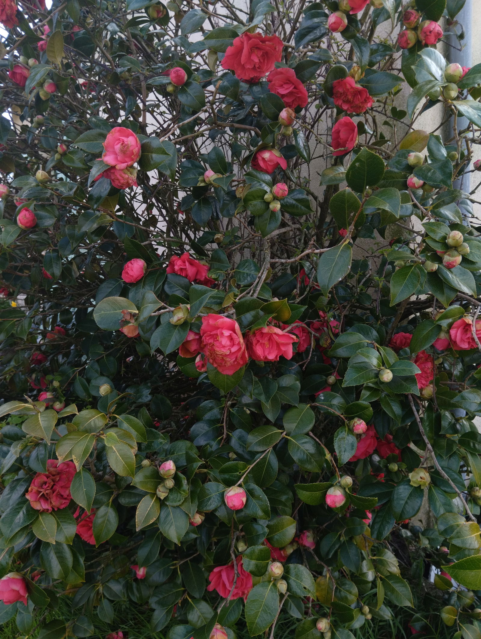 Colocation La Noë-Blanche 286997