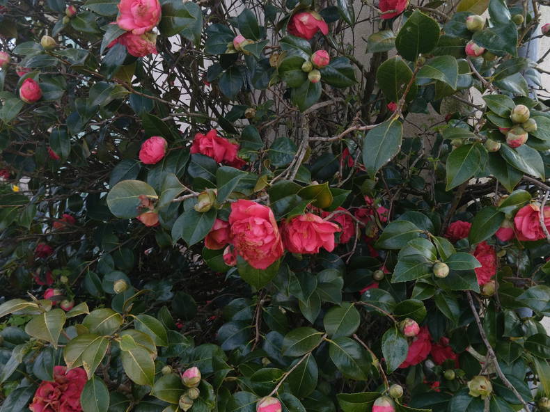 Colocation La Noë-Blanche 286997-2