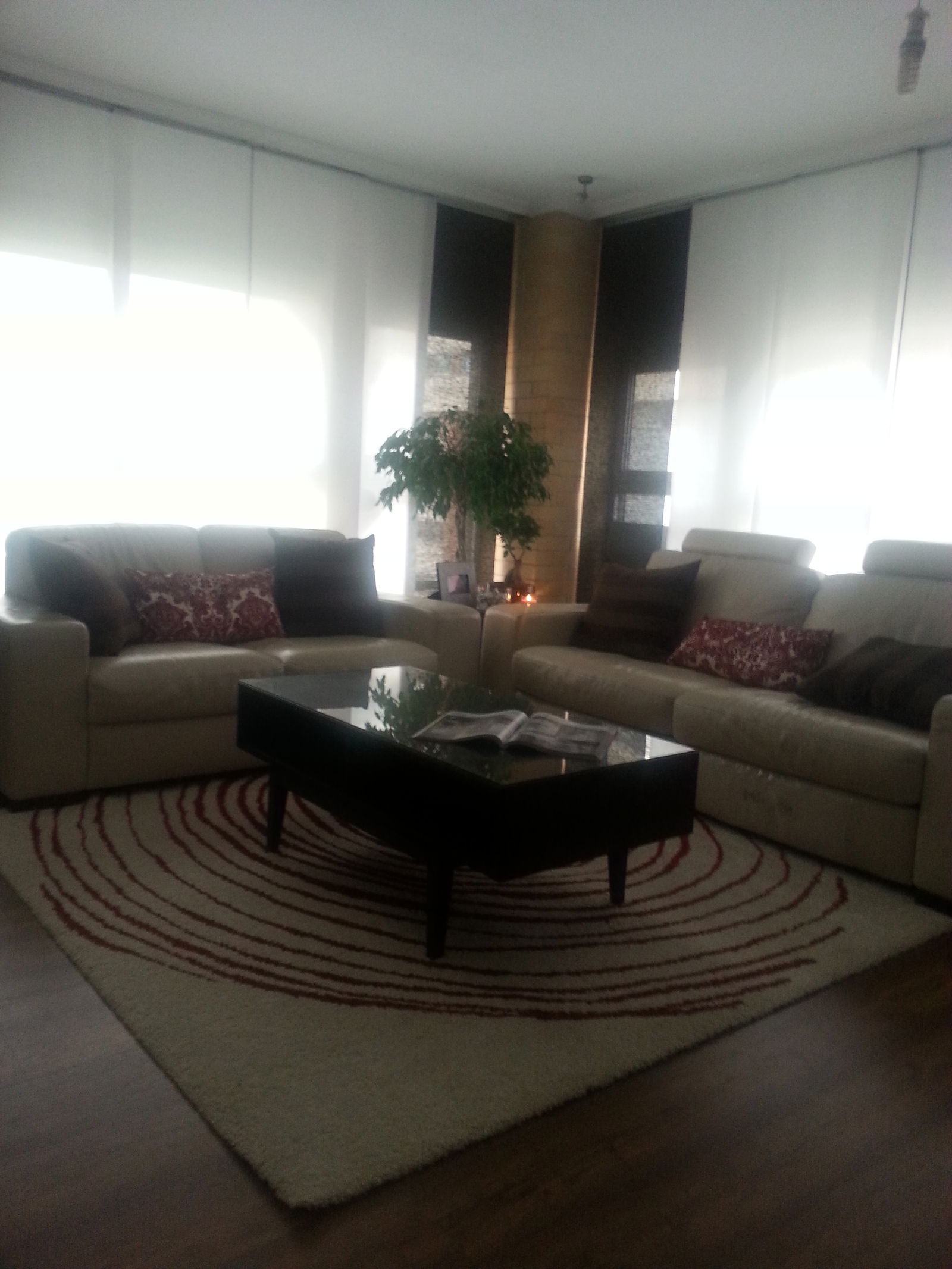 Homestay Valencia 124485