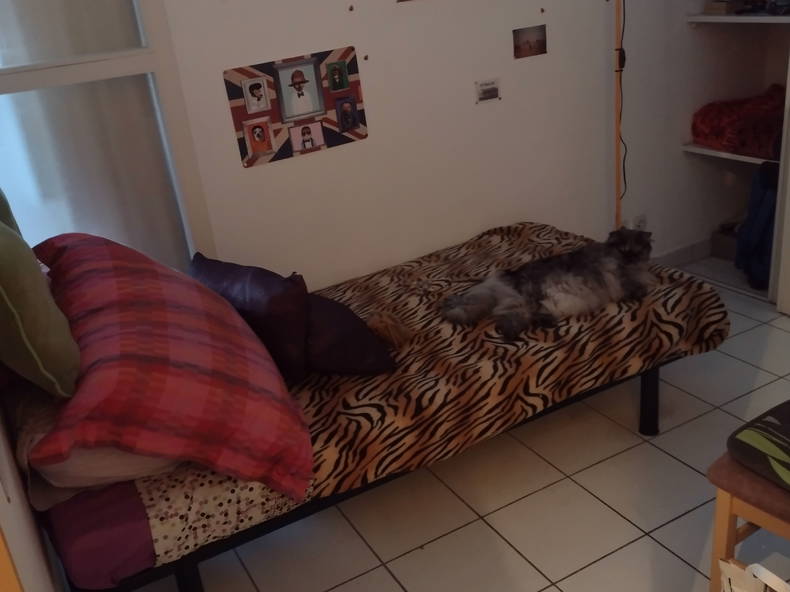 Homestay Perpignan 255011-2