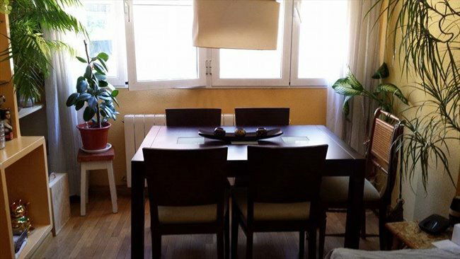 Homestay Madrid 126376