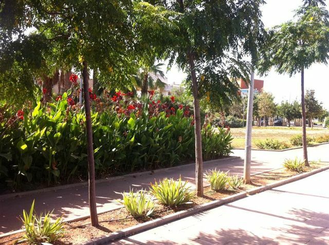 Gastfamilie Palma de Mallorca 30903