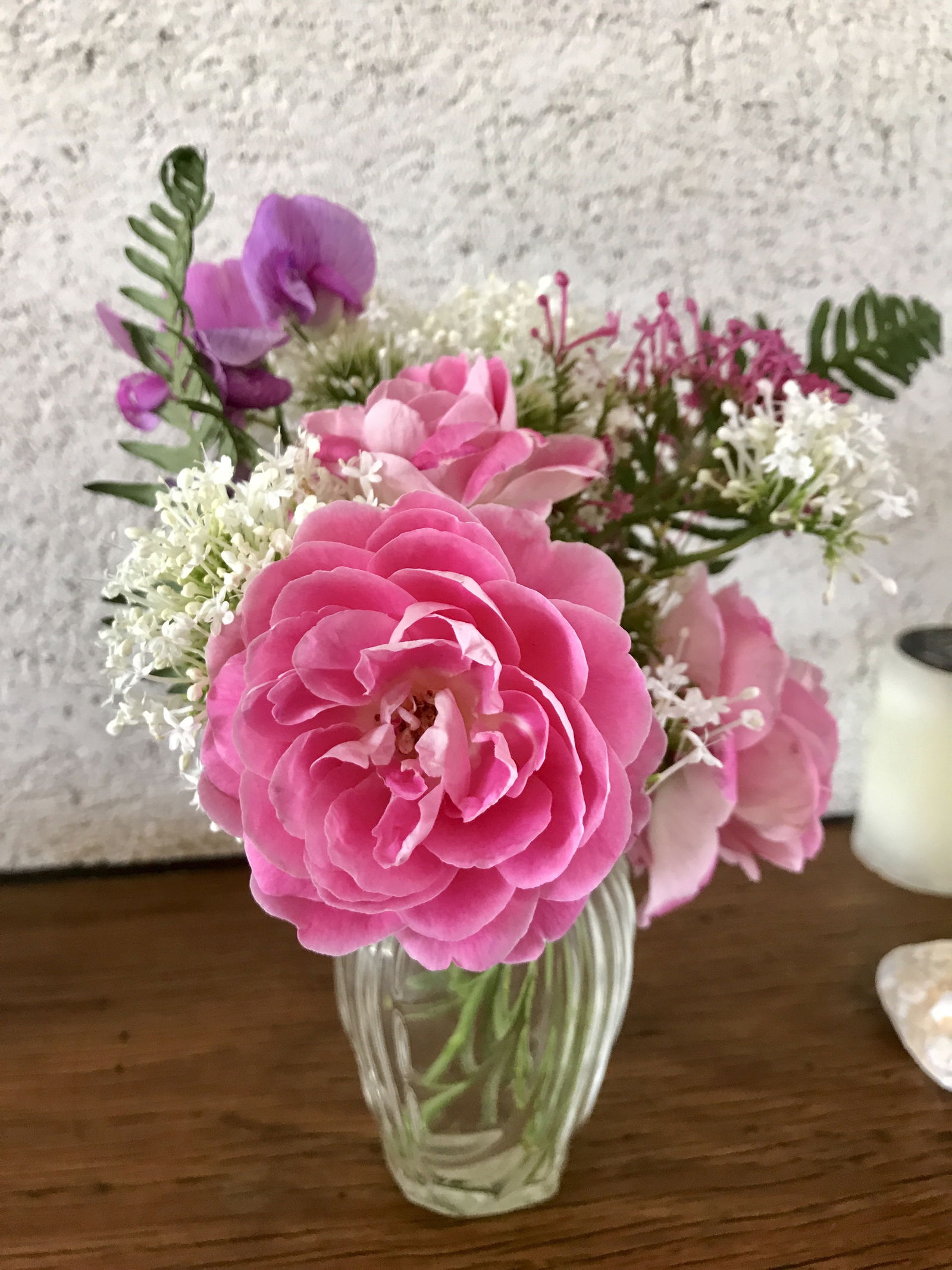 Gastfamilie Blois 126028