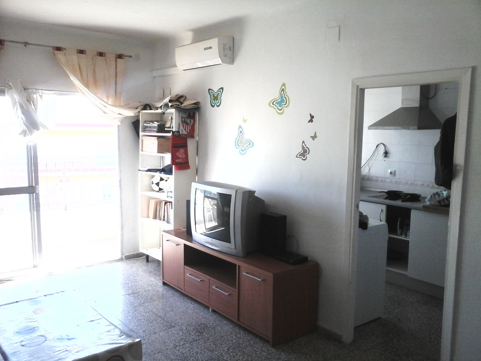 Kolokation Gelves 120065